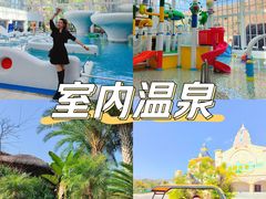 -世界恐龙谷景区