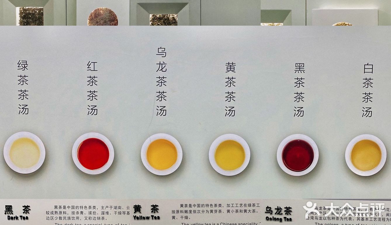 杭州游记｜茶文化主题展馆｜中国茶叶博物馆