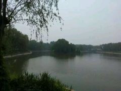 android_upload_pic-顺鑫绿色度假村
