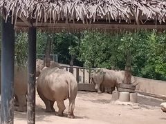 -西安秦岭野生动物园