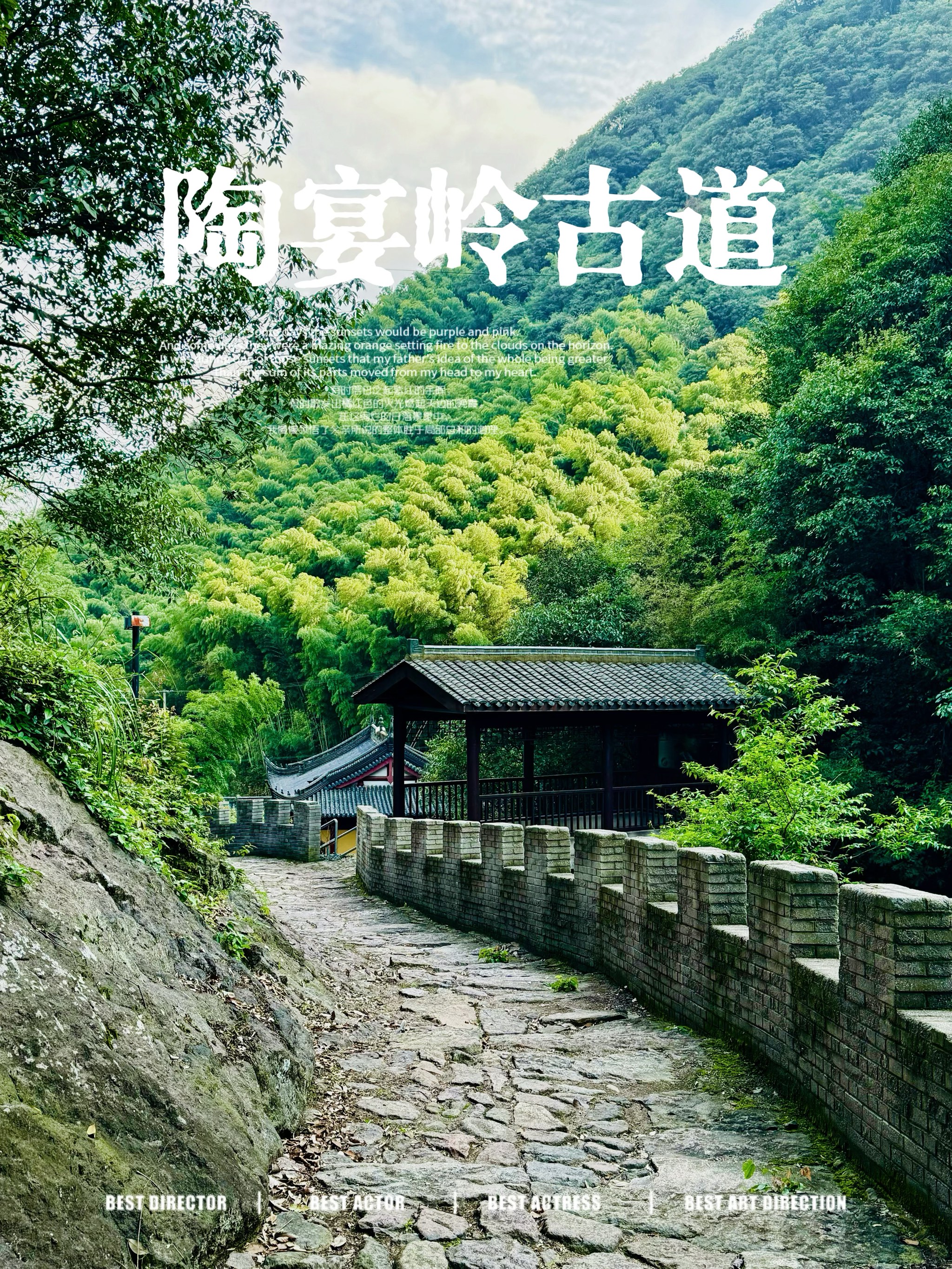 陶宴岭古道图片