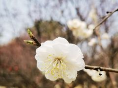 -鹫峰国家森林公园