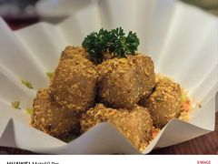-点都德·毕德寮