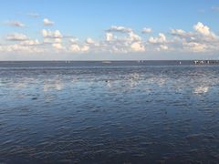 -南汇新城海滩