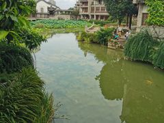 -龙潭水乡