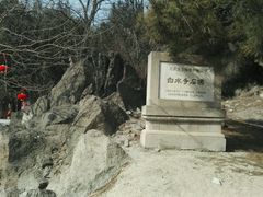 -白水寺森林公园