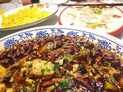 -新概念来凤鱼(璧山店)
