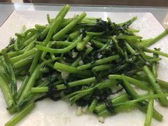 -渡海小渔村.老辈日照菜