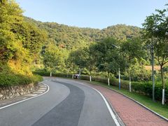 -火炉山森林公园