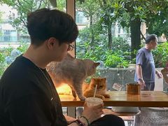 -李小姐の猫咖啡馆(五角场店)