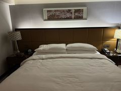 -上海波特曼丽思卡尔顿酒店