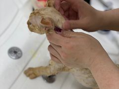 -十年猫舍·猫咪专门店(普陀店)