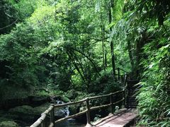-碧峰峡风景区