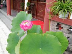 -龙湖东院农庄(乡间小路店)