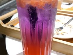彩虹西柚气泡-猫小主咖啡·猫咖cat cafe(福田店)