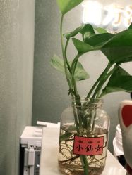 点击看大图 -苗方清颜·祛痘皮肤管理