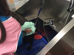 -骐奇宠物诊疗中心(南亭公路店)