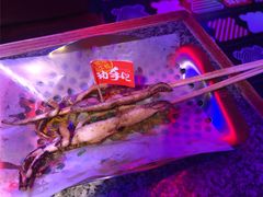 -蛙来哒(汇一城黑金冠店)