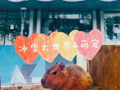 -Mr·Kuma酷么先生雪之乐园
