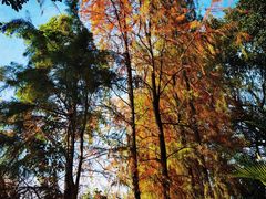 -白云湖畔酒店-湖畔餐厅