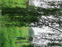 -长兴太湖图影湿地文化园