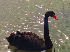 -南大港湿地风景区