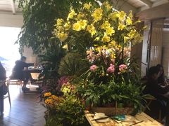 -春暖花开(西溪店)