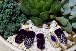 iphone_upload_pic-星美甲