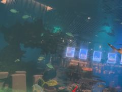 -海棠湾洲际-涛·海底餐厅·美人鱼·自助餐·海底隧道