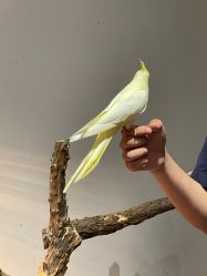 点击看大图 -Zoolung Zoolung动物主题公园(海信广场店)