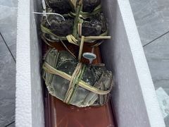 -蟹状元大闸蟹·年货·粽子(成都成华店)