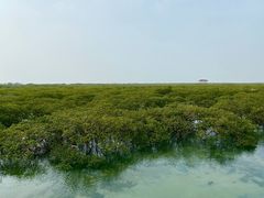 -北海金海湾红树林生态旅游区