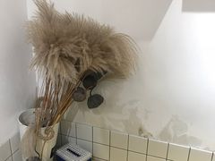 -白日梦奶茶