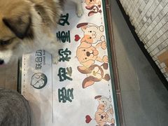 -联合动物医院(光谷诊疗中心)