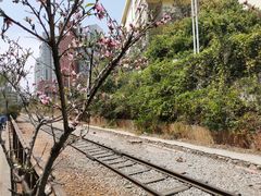 -云南师范大学(一二一西南联大校区)
