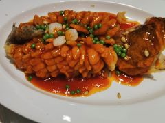 松子桂鱼-品悦酒店(三林古镇店)