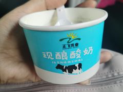 -正飞鲜奶(南湖一期店)