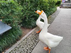 -台州府城(东湖)