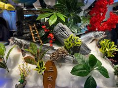 -一方渔歌蒸汽海鲜自助(文化路万达广场店)