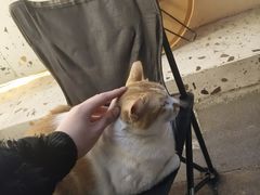 -小半有礼(天河南店)