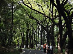 -采石矶景区