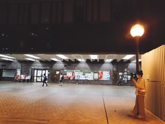 -香港大学