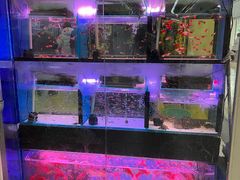 -三旗百汇商品城