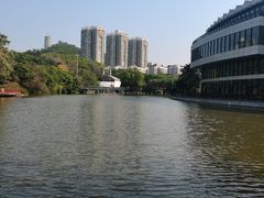 -深圳国际园林花卉博览园