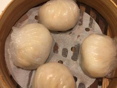 -美心皇宫(屯门大会堂店)