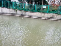 -黄兴公园