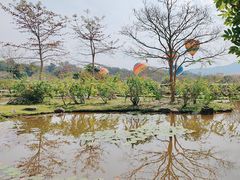-中国科学院西双版纳热带植物园