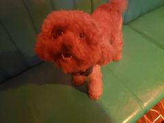 -欢乐迪KTV(观音桥未来国际店)