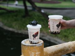 -晓港公园