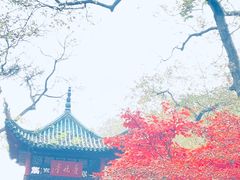 -岳麓山风景名胜区